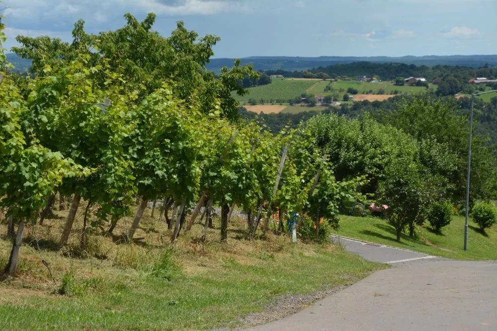 Exkurze Štýrsko – fotografie 53